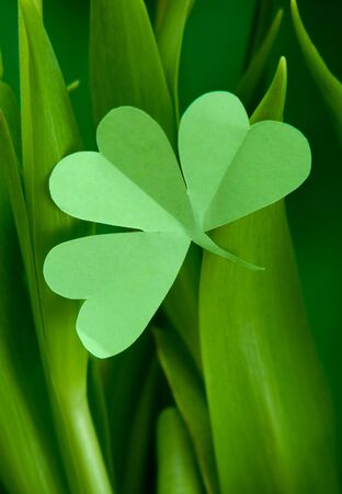 St. Patrick's day concept. Creative layout made of green leaves close up. Nature backgroundの写真素材