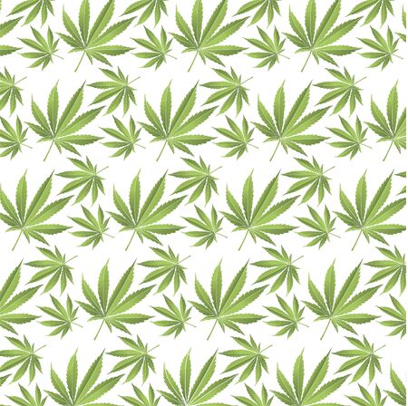 Pattern of a hemp leaf on a white background. Symbol. Seamless patternの写真素材