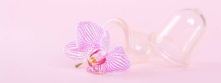 Vacuum cans for body on pink background. Rubber equipment for anti cellulite massage.の写真素材