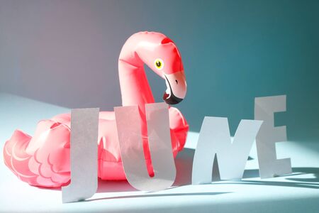 Inflatable pink flamingos on an blue background. Summer conceptの写真素材