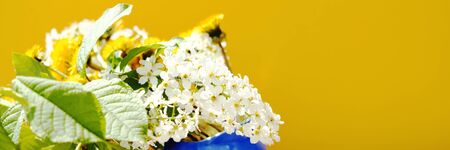 summer bouquet of dandelions, cherry and cherry blossoms on a yellow background. dacha, vacationの写真素材