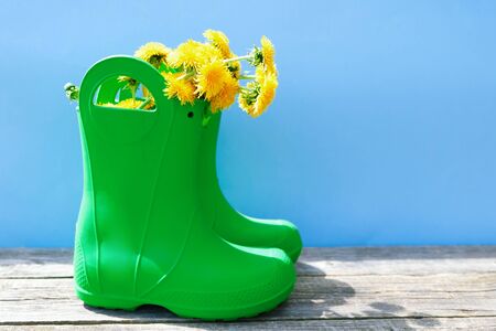 Hello, summer concept. Green rubber boots with yellow flowers on blue backgroundの写真素材