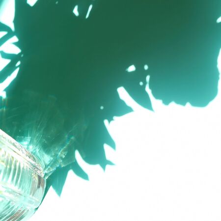 Trend shadow from a crystal vase on a blue background. Shadow from a bouquet of peoniesの写真素材