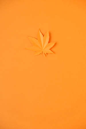 Orange maple leaf cut from paper on a bold orange background. Fall concept.の写真素材