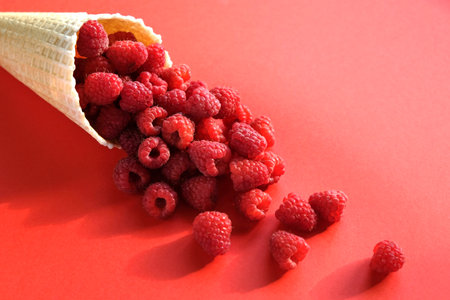 Fresh ripe raspberries in a waffle cone on a red background. Concept of healthy food and natural vitaminsの写真素材
