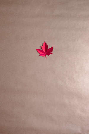 Purple maple leaf cut from paper on a neutral background. Fall concept.の写真素材