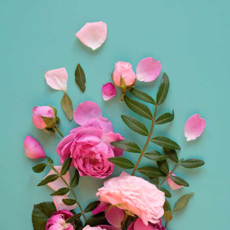 Creative layout made with pink flowers on blue background. Flat lay. Spring minimal concept.