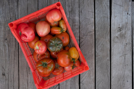 Fresh healthy tomatoes are packed in a plastic box on a wooden backgroundの写真素材