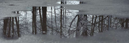 A puddle on the asphalt, trees are reflected in it. Late autumnの写真素材