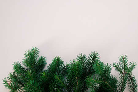 Happy new year and Merry Christmas. Background of Christmas tree branches.の写真素材