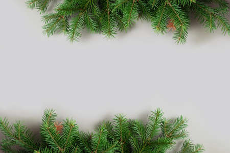 Happy new year and Merry Christmas. Background of Christmas tree branches.