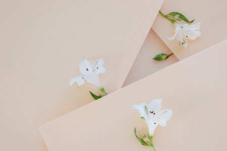 Wedding mockup of paper card decorated beautiful white flowers and green leaves on pastel background top view. Flat lay style.の写真素材