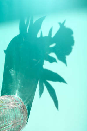 Trend shadow from a crystal vase on a blue backgroundの写真素材