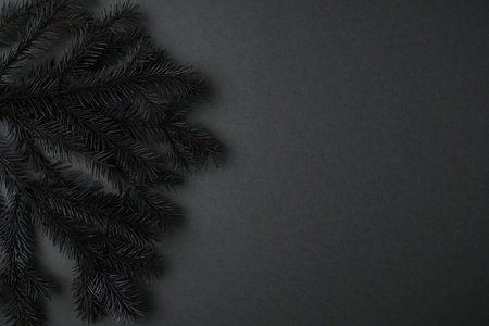 Happy new year and Merry Christmas. Background of Christmas tree branches.の写真素材