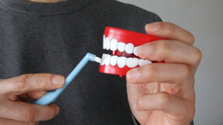 Person polishing a dental model