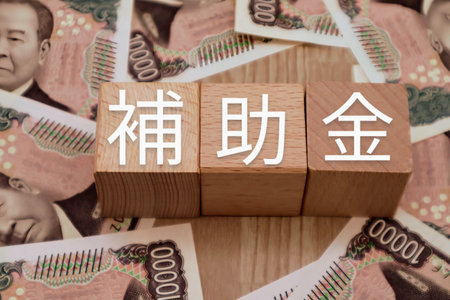 Subsidy imageの写真素材