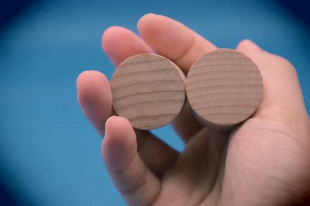 A person holding two round wooden blocks.の写真素材
