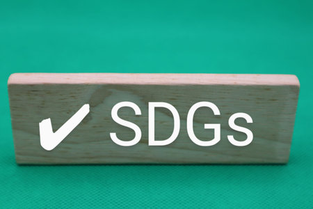 Close-up of building blocks with SDGs written on themの写真素材