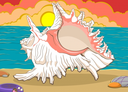 Vector abstract natural background with the seashell on the seacoast at the sunset のイラスト素材