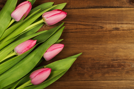 Pink tulips on a wooden background. Mother's Day. Spring flowers.の写真素材