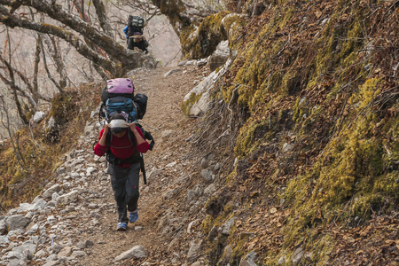 PHORTSE THANGA, NEPAL - CIRCA OCTOBER 2013: porters on Himalayan paths is an integral part of their circa October 2013 in Phortse Thanga.のeditorial素材