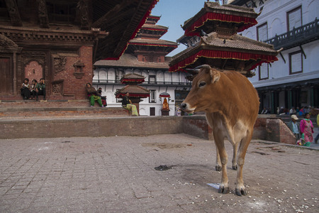 KATHMANDU, NEPAL - CIRCA OCTOBER 2013: Durbar Square in Kathmandu circa October 2013 in Kathmandu.のeditorial素材