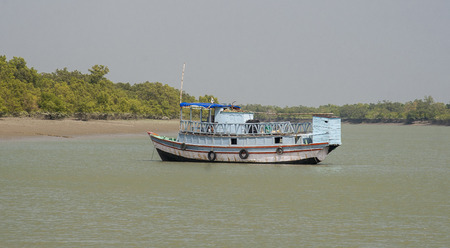 SUNDARBANS, INDIA - CIRCA NOVEMBER 2013: The Sundarbans is the largest mangrove forest in the world circa November 2013 in Sundarbans.のeditorial素材