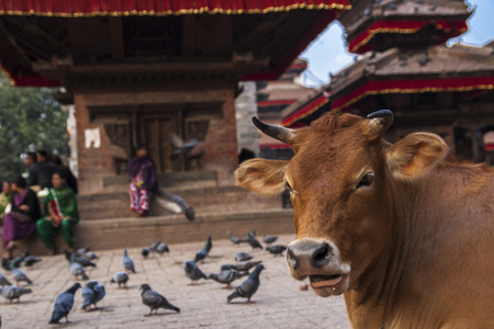 KATHMANDU, NEPAL - CIRCA OCTOBER 2013: Durbar Square in Kathmandu circa October 2013 in Kathmandu.のeditorial素材