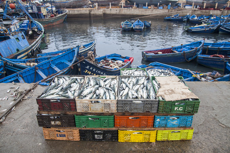 Fishのeditorial素材