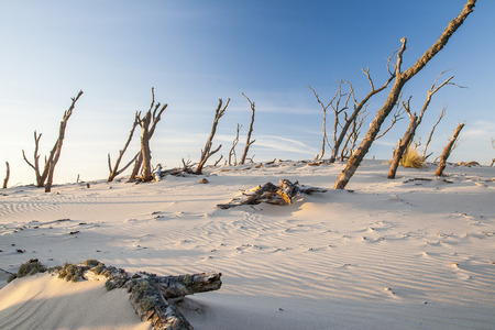 Baltic Seaの写真素材