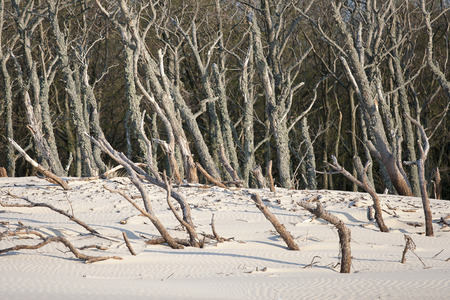 Baltic Seaの写真素材