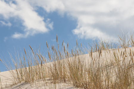 Baltic Seaの写真素材