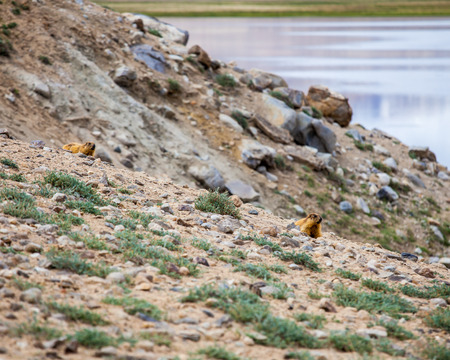 Beautiful view of  Bulunkul Lake in Pamir in Tajikistanの写真素材