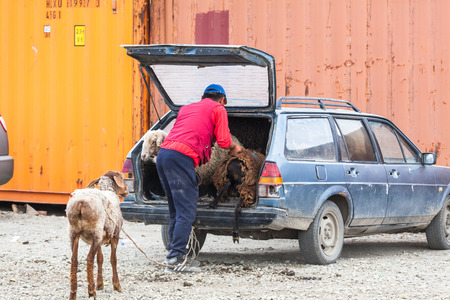 KARAKOL, KYRGYZSTAN - CIRCA JUNE 2017: Weekly Sunday animal market in Karakol city near the eastern tip of Lake Issyk-Kul in Kyrgyzstan circa June 2017 in Karakol.のeditorial素材