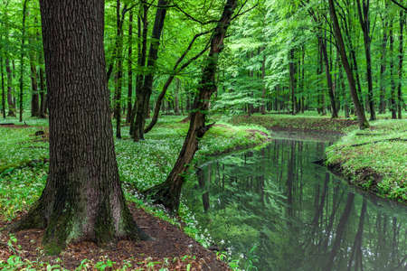 View of the Lezczok Nature Reserve