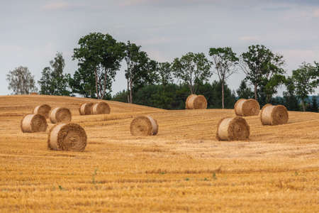 Beautiful view of the Masurian fields.