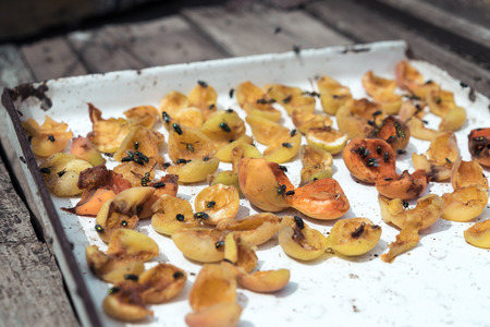 flies and bees on homemade dried apricots in summer. A leaf with halves of apricots.