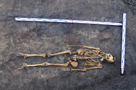 Archaeological excavations man and finds (bones of a skeleton in a human burial); working tool;...