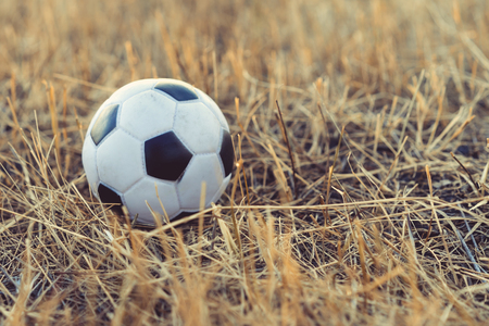 close-up football toys on the autumn grassの写真素材