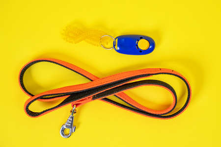 Top view of black orange collar or leash, blue clicker for a dog on a yellow background. Necessary...