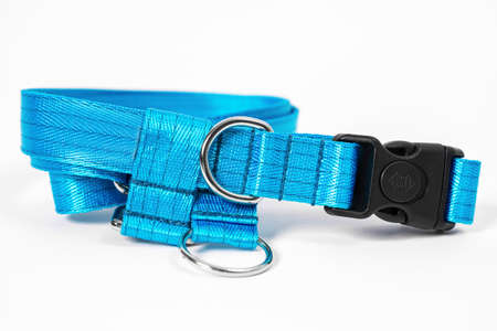 close up Ñolorful blue dog collar and leash with silver metal fittings from silky tape. Pet suppliesの写真素材