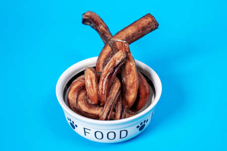 Ceramic bowl with heap of tasty dried snacks pet food on blue background. Healthy nutrition