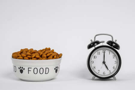 A bowl of processed dog food with paws and inscription FOOD on its sides, next to the alarm clock with hands set to five-o-clock time. Lunch or other pet meal memorizing. Indoors, white background.の写真素材
