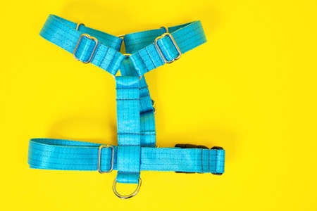 Blue tissue dog harness with silver metal fittings isolated on yellow background. For a safe trip and walk with your pet. Pet Supplies and Walking Gear Collectionの写真素材