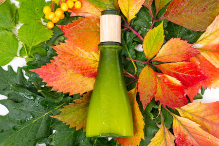 Cosmetic bottle of green glass lying down on oak and other plant leaves with bright autumn colors and branch of yellow berries . The drops of water, freshness and organic treatment product conceptの写真素材