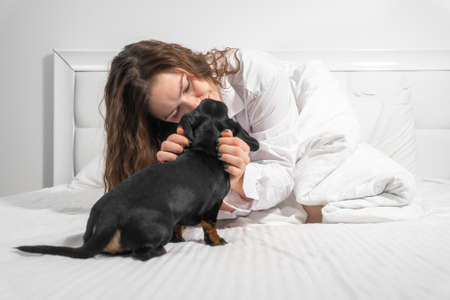 Happy long haired brunette woman hugging adorable dachshund puppy sitting on comfortable large bed...