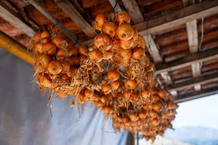 Rustic onion garlands hanging under wooden roof in traditional outdoor market.の写真素材