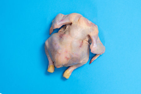 Top view of fresh, uncooked whole chicken placed on a vibrant blue background.の写真素材