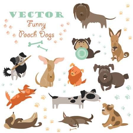 Set of funny Mixed Breed dogs. Vector isolated iconsのイラスト素材