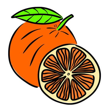 orange simple line sketch with color styleのイラスト素材